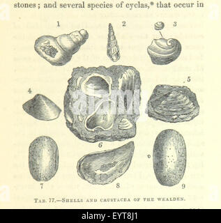 Bild von Seite 403 "[The Wonders of Geology; Stockfoto