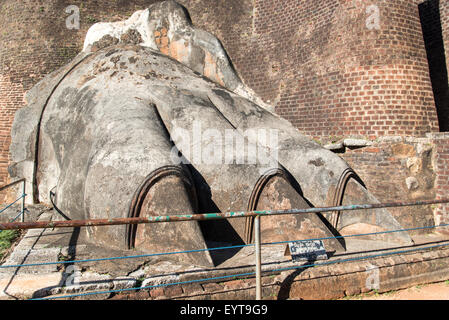 Nahaufnahme von Lion Paw, Sigiriya-Felsen, Sri Lanka Stockfoto