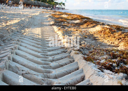 Reifen-Aufdruck auf dem sand Stockfoto