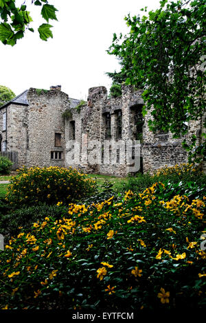 Abbey Park ist ein öffentlicher Park mit dem 12. Jahrhundert Abbey in Leicester, England, durch die der Fluss Soar fließt. Stockfoto