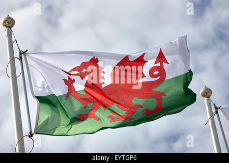 Die Red Dragon nationale Flagge von wales Stockfoto