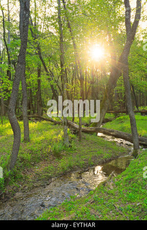 Morgen in Cades Cove, Great Smoky Mountains National Park, Tennessee, USA Stockfoto