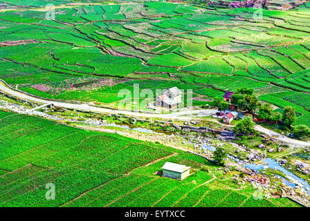 Landschaft der schönen grünen Kartoffel Felder oder Ackerland auf terrassierten Highland an Daman, palung, Nepal Stockfoto