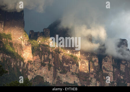 Kerepakupai Vena oder Angel Falls, Salto Angel in den Wolken. Die höchsten Wasserfälle der Welt. Bundesstaat Bolivar. Venezuela Stockfoto