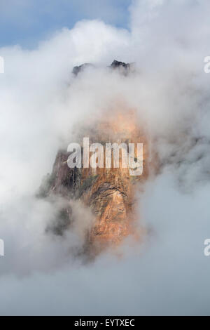 Kerepakupai Vena oder Angel Falls, Salto Angel in den Wolken. Die höchsten Wasserfälle der Welt. Bundesstaat Bolivar. Venezuela Stockfoto