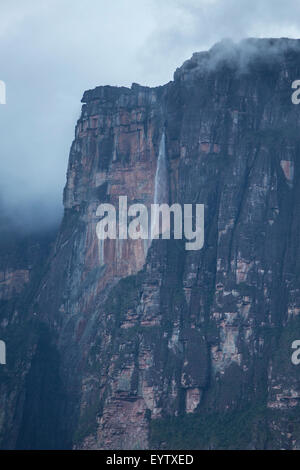 Kerepakupai Vena oder Angel Falls, Salto Angel in den Wolken. Die höchsten Wasserfälle der Welt. Bundesstaat Bolivar. Venezuela Stockfoto