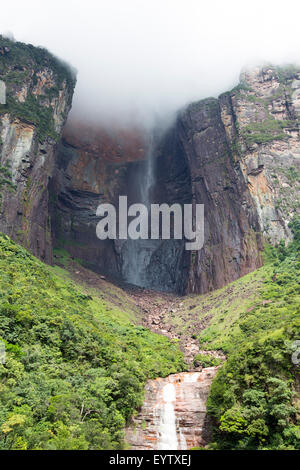 Kerepakupai Vena oder Angel Falls, Salto Angel ist die höchsten Wasserfälle der Welt. Bundesstaat Bolivar. Venezuela Stockfoto