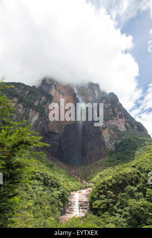 Kerepakupai Vena oder Angel Falls, Salto Angel ist die höchsten Wasserfälle der Welt. Bundesstaat Bolivar. Venezuela Stockfoto