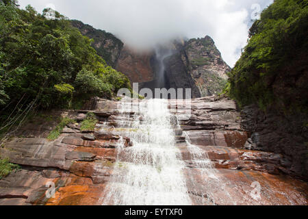 Kerepakupai Vena oder Angel Falls, Salto Angel ist die höchsten Wasserfälle der Welt. Bundesstaat Bolivar. Venezuela Stockfoto