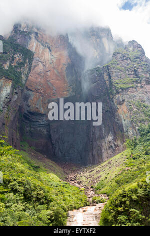 Kerepakupai Vena oder Angel Falls, Salto Angel ist die höchsten Wasserfälle der Welt. Bundesstaat Bolivar. Venezuela Stockfoto