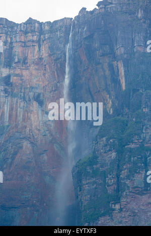 Kerepakupai Vena oder Angel Falls, Salto Angel in den Wolken. Die höchsten Wasserfälle der Welt. Bundesstaat Bolivar. Venezuela Stockfoto