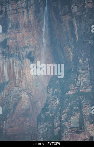 Kerepakupai Vena oder Angel Falls, Salto Angel in den Wolken. Die höchsten Wasserfälle der Welt. Bundesstaat Bolivar. Venezuela Stockfoto