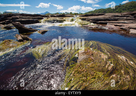 Schöner Wasserfall in Canaima Lagune, Canaima-Nationalpark, Venezuela, Südamerika 2015 Stockfoto