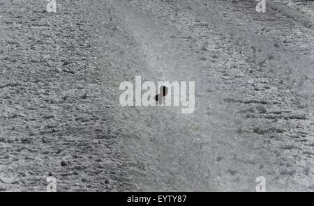 Lech, Deutschland. 3. August 2015. Ein junger Mann sucht Entlastung hitzebedingt an der Lech Flusses Wehr in Landsberg am Lech, Deutschland, 3. August 2015. : Bildnachweis KARL-JOSEF HILDENBRAND/Dpa: Dpa picture-Alliance/Alamy Live News Stockfoto