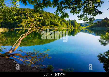 Nationalpark Plitvicer Seen ist eines der ältesten Nationalparks in Südost-Europa und der größte Nationalpark in Kroatien. Stockfoto