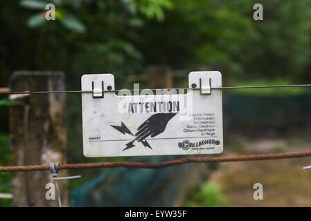 Warnschild am Elektrozaun. Stockfoto