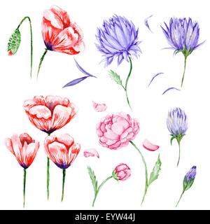 Handbemalte Mohn, Pfingstrosen, Artischocke und lila Blüten isoliert auf weiss für Design und scrapbooking Stockfoto