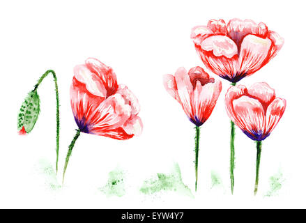 Hellen Aquarell Malerei mit wunderschönen roten Blüten Stockfoto