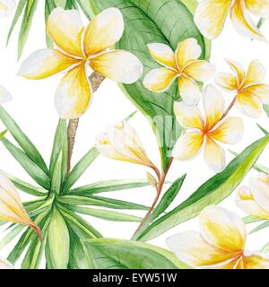 Handgemalten Aquarell botanische Illustration mit Plumeria Blumen und Yucca-Baum auf weißem Hintergrund für Textil-design Stockfoto