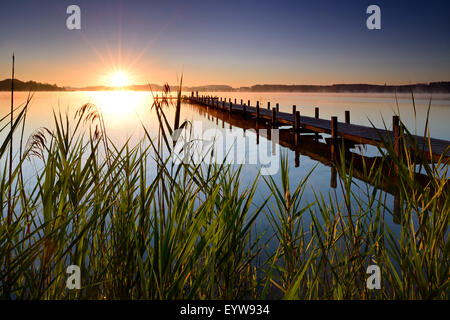 Sunrise, Steg am See Wörthsee, Bayern, Deutschland Stockfoto