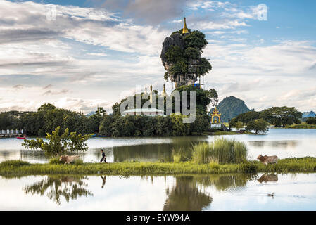 Kyauk Kalap Pagode auf einem Felsen, Kloster, junge mit Zebu, spiegelt sich im See, Hpa-an, Karen Staat, Myanmar, Myanmar Stockfoto