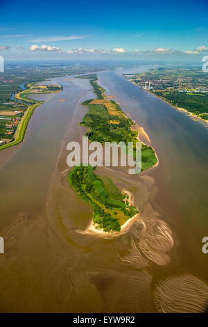 Gezeiten Bäche bei Ebbe auf Halbkalbsand Insel in der Elbe, in der Nähe von Wedel und Jork, Niedersachsen, Deutschland Stockfoto