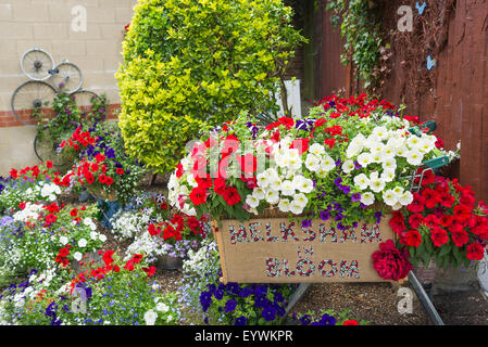 Fantasievolle Ziergarten Blume hergestellt aus recycelten waren als Pflanzer und Requisiten von Waitrose für Melksham in voller Blüte Conte verwendet Stockfoto