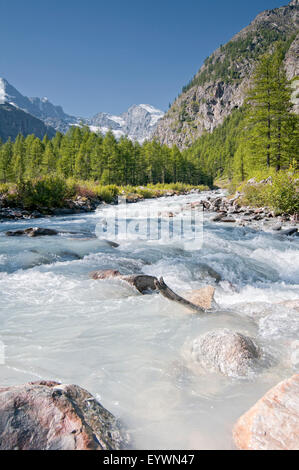 Fluss in Valnontey. Gran Paradiso Nationalpark. Aosta-Tal. Graian Alpen. Italien. Stockfoto