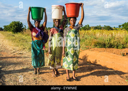 Einheimische Frauen tragen Eimer auf ihre Köpfe, Malawi, Afrika Stockfoto