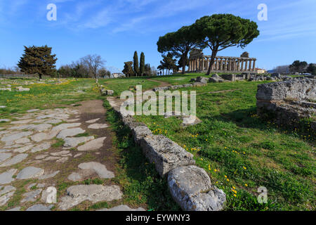 Athena-Tempel (Tempel der Ceres), Paestum, griechische Ruinen, UNESCO-Weltkulturerbe, Kampanien, Italien, Europa Stockfoto