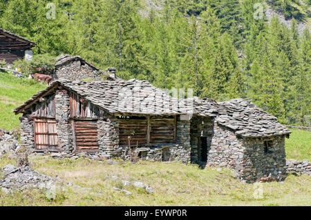 Altes Holz und Stein Sheppard im Gran Paradiso Nationalpark. Aosta-Tal. Graian Alpen. Italien. Stockfoto