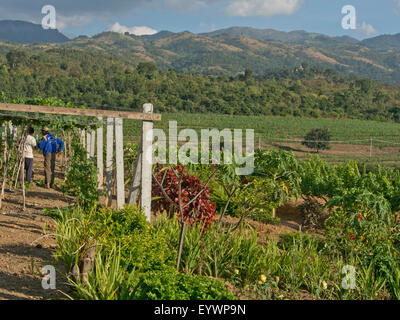 Red Mountain Weingut in der Nähe von Inle-See, Shan State in Myanmar (Burma), Asien Stockfoto