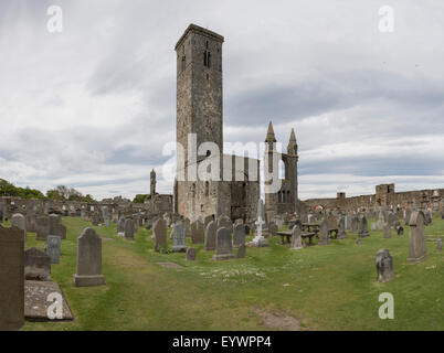 St. Andrews Cathedral Ruinen, St. Andrews, Fife, Schottland, Vereinigtes Königreich, Europa Stockfoto
