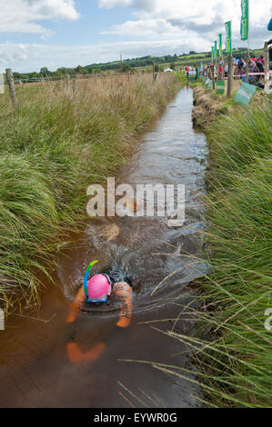 Bogsnorkelling-Weltmeisterschaften, statt auf Wän Rhydd Bog in den Cambrian Mountains, Powys, Wales, UK Stockfoto