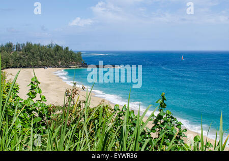Waikoko Strand, Kauai, Hawaii, Vereinigte Staaten von Amerika, Pazifik Stockfoto