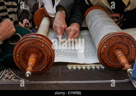 Treuen Lesen der Tora an der Klagemauer, Jerusalem, Israel, Naher Osten Stockfoto