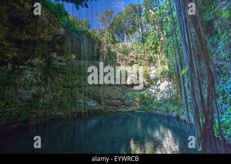 Cenote Ik Kil, in der Nähe von Chichén Itzá, Yucatan, Mexiko, Nordamerika Stockfoto