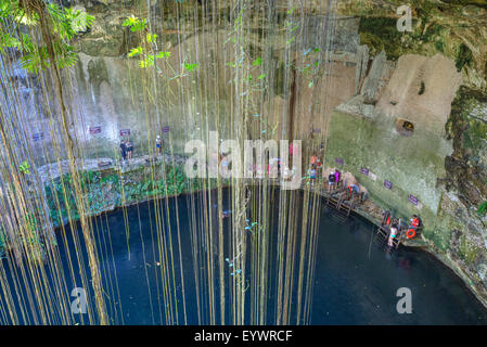 Cenote Ik Kil, in der Nähe von Chichén Itzá, Yucatan, Mexiko, Nordamerika Stockfoto