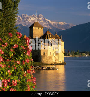 Chateau de Chillon (Schloss Chillon) am Genfer See, Veytaux, Kanton Waadt, Schweiz, Europa Stockfoto