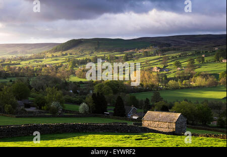 Blick auf das Tal von Swaledale entnommen aus den Toren Reeth, Yorkshire Dales, Yorkshire, England, Vereinigtes Königreich, Europa Stockfoto