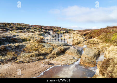 Eine gefrorene Stream und Heide auf Edale Moor im Winter Sonnenschein, Kinder Scout, Derbyshire Peak District National Park, England, Großbritannien Stockfoto