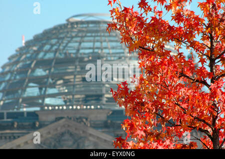 NOVEMBER 2005 - BERLIN: bunte herbstliche Atmosphäre in Berlin, im Hintergrund das Reichstagsgebäude. Stockfoto