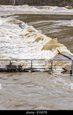 Hochwasser des Flusses Kentucky für die Verriegelung und die Verdammung im Fort Boonesborough State Park Stockfoto