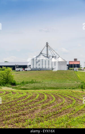 Großen Silos auf einer Farm in Kentucky USA Stockfoto