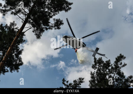 Feuerwehrleute kämpfen ein Feuer der Wald in der Nähe von Branez in Mlada Boleslav Region, Tschechische Republik, am 4. August 2015. (CTK Foto/Radek Petrasek) Stockfoto