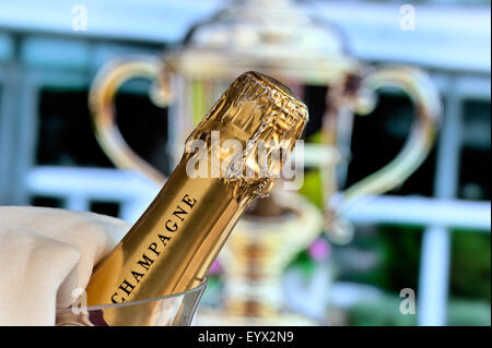 GOLD CUP GEWINNER ASCOT Close view auf Champagner-Flasche im Weinkühler mit Royal Ascot Ladies Day Gold Cup im Hintergrund Ascot Berkshire UK Stockfoto