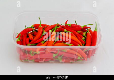 Rote Peperoni (Paprika) im Behälter Stockfoto