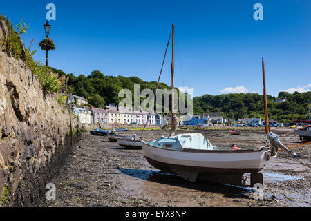 Boote vertäut im Hafen von Unterstadt, Fishguard, Pembrokeshire, Wales, UK Stockfoto