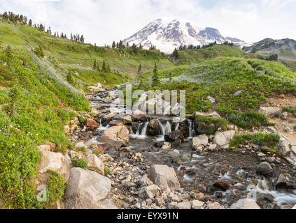 Tahoma (Mt. Ranier) ragt über idyllische Edith Creek über Myrtle Falls Mt. Ranier National Park, Paradies, Washington Stockfoto