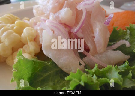 Peruanische Ceviche, frischer roher Fisch mariniert in Limettensaft und Chili und über Salat mit Mais, Süßkartoffeln und Zwiebeln serviert. Stockfoto